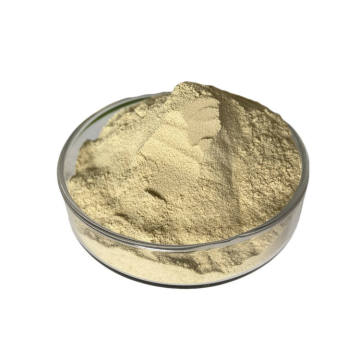 Buy Piperine Extract Powder Benefits
