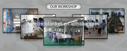 Electric Heated Mattress Pad