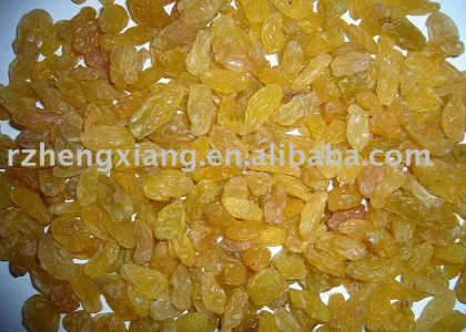 golden raisins