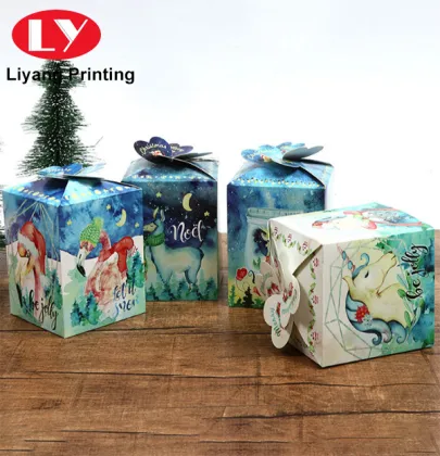 Christmas Apple Packaging Gift Box Food Packaging Box