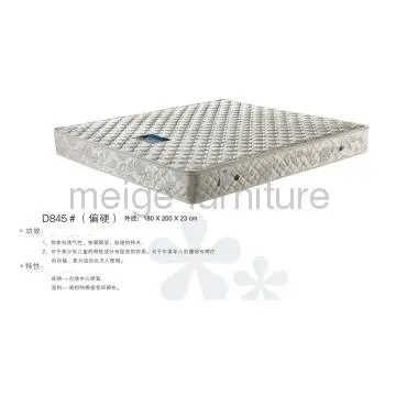 Spring+Palm Mattress