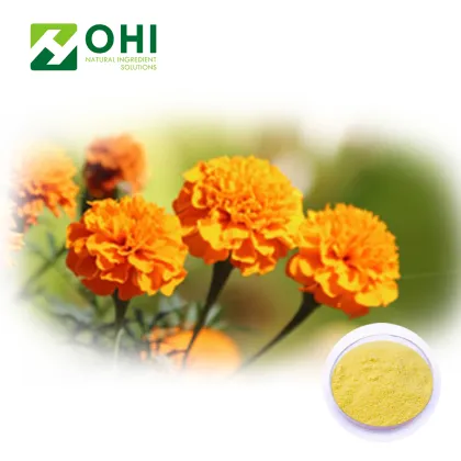 Calendula extract lutein 5%-90%