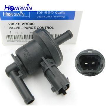 Genuine No.29010 2B000 Purge Control Valve for Hyundai Soul/I20/I30/Elantra/K3/Creta/Cerato 1.6L (2006-2015)