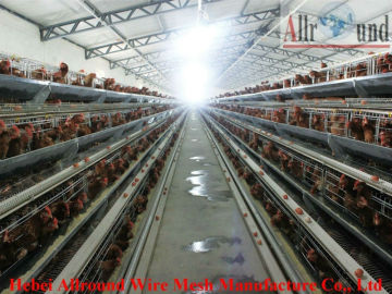 chicken cages(A & H type)  