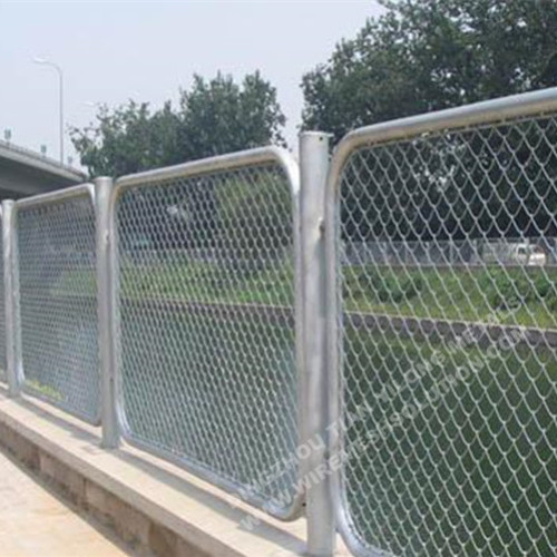 Electro Galvanized Chain Link Fence 55mm