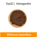 Extrait de Somnifera avec Ashwagandha Powder 30655-48-2