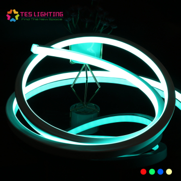SMD 5050 IP68 Su Geçirmez RGB LED Neon Şerit