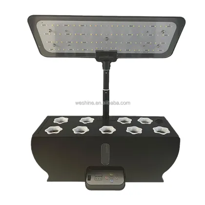 Indoor Herb Garden Kit: Hydroponic System with LED