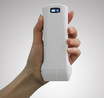 Rehabilitation Inspection Ultrasound Scanner