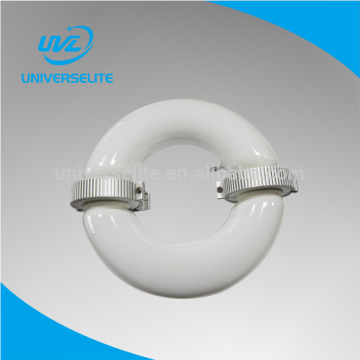 Lâmpada de indução magnética circular 300W