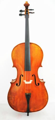 Antique Oil Varnish Professional Advanced Cello