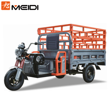 MEIDI Electric Tricycle for Agriculture with Double Fence