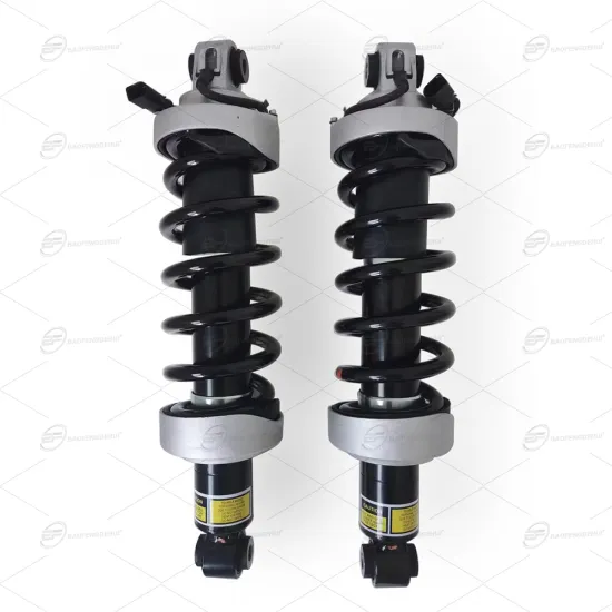 Rear Shock Absorbers Assembly with Spring Suspension Strut for Audi R8 2009-2015 420512019AM 420512020AM" 

However, for better SEO and readability, you might consider:

"Rear Shock Absorbers Assembly for Audi R8 2009-2015 (Part Numbers: 420512019AM, 4205