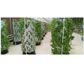 Verticale toren groeit systemen kolom hydrocultuur aeroponic