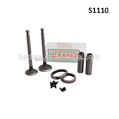 Changfa Diesel Engine S1115 Board Valve Spare Parts