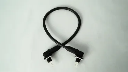 Customized High Voltage Big Current Connectors and Cable Assemblies for EV Battery Energy Storage