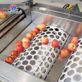 Máquina de classificação de frutas com base na classificação do tamanho