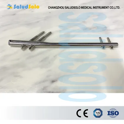 Medical Gamma Intramedullary Nail