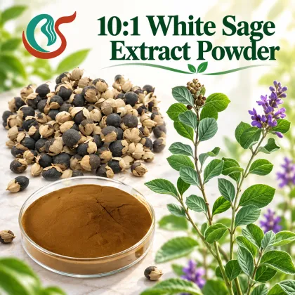 10:1 White Sage Extract Powder