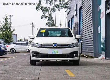 New Energy Adult Tourist Sightseeing Electric Vehicle