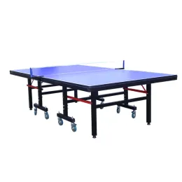 Indoor Professional oldable mobile table tennis table