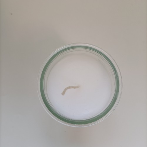 Cheap Price 3 Days Glass Candle Wedding Candle