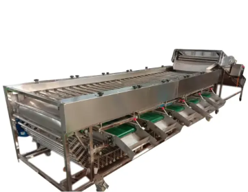 Machinerie de classement d'oignons directs en usine - prix de l'équipement de tri de taille de légumes