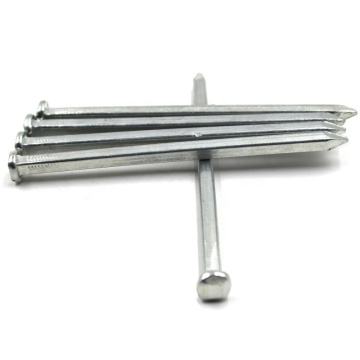 Jualan Panas Electro Galvanized Square Boat Kuku