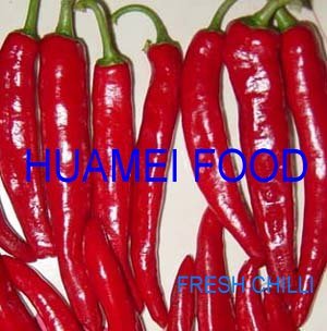 dried whole chilli