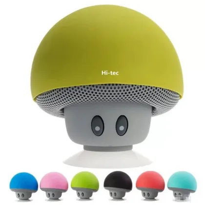 Outdoor Laptop Rechargeable Portable Speaker