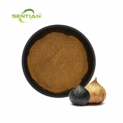 Pure Black Garlic Extract with Allicin
