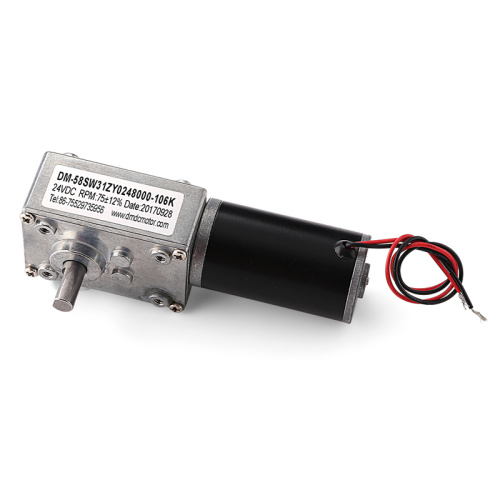 DM-58SW 31ZY 3 volt motor and worm gearbox