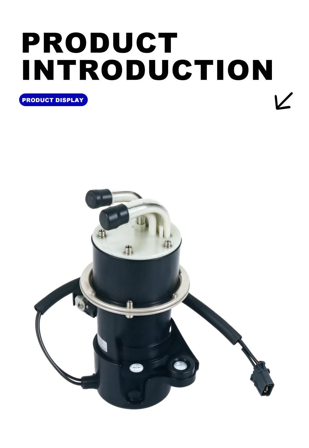 Complete Fuel Pump Assembly X