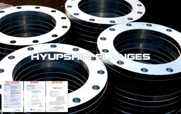 HOT DIPPED GALV. EN1092-1 Plate Flange
