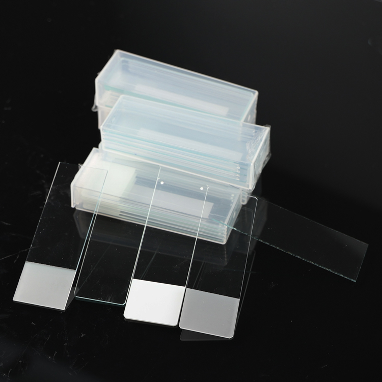 Common Microscope Slides