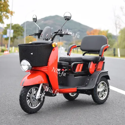 Electric Tricycles for Adults: Affordable 3-Wheel Scooters for Handicapped