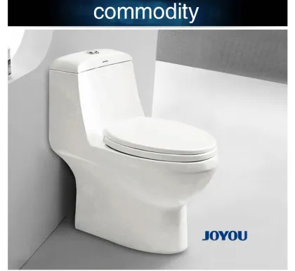 The development of the toilet