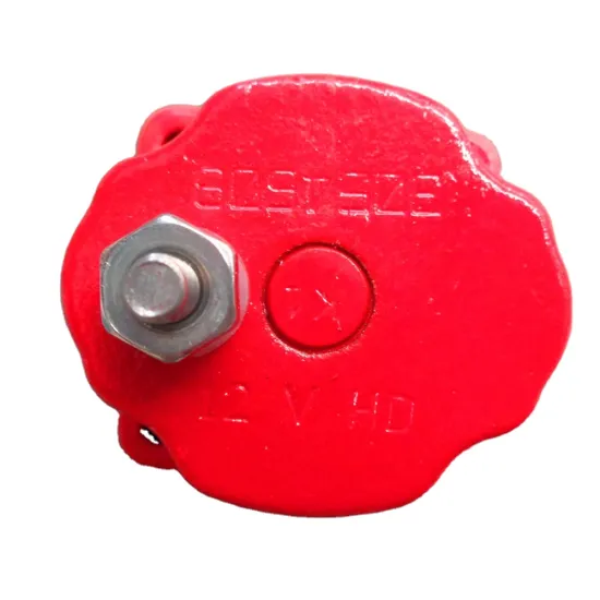 ISM11 Solenoid Valve 4024808 4024809