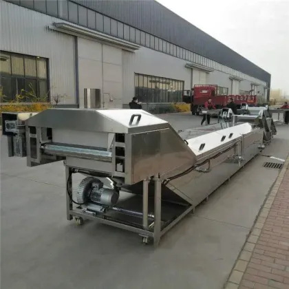 Fruit and Vegetable Blanching Machine - Papaya Blanch Machine