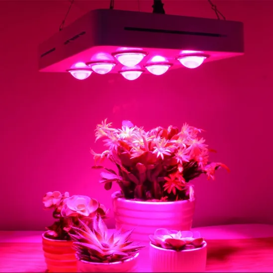 1800W Grow light for herbs hydroponic
