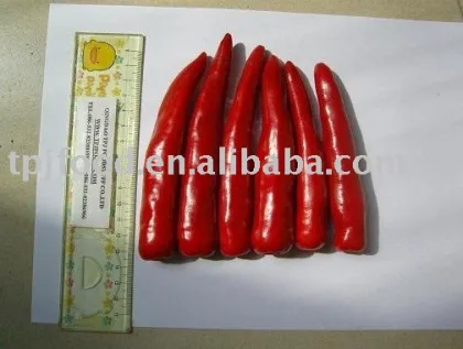 IQF chilli(jinta) with FDA