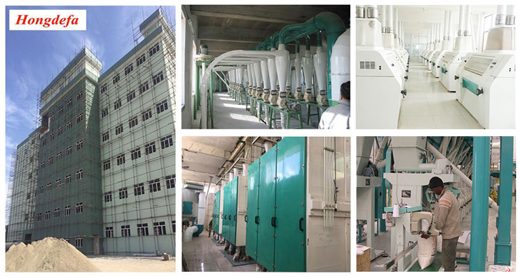 Ethiopia 500T wheat flour mill machine for Pasta Bread Flour