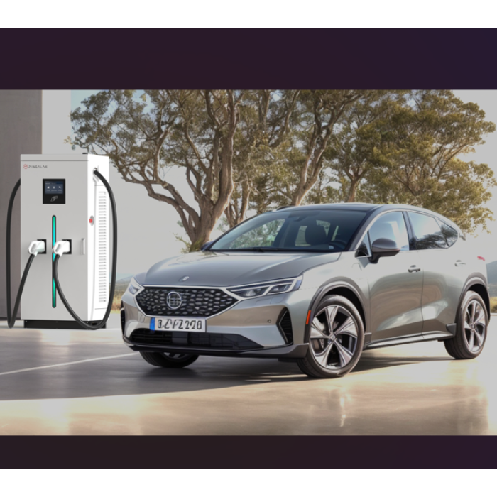 60KW רכוב על קרקע DC EV Charger