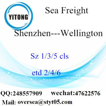 Shenzhen Port LCL Consolidation naar Wellington