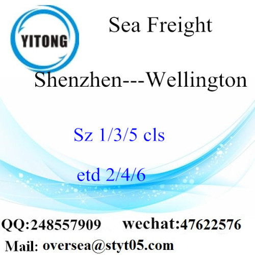 Shenzhen Port LCL Consolidation to Wellington