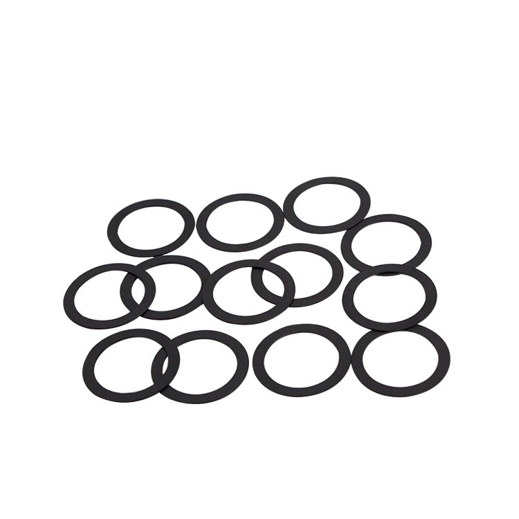 PEEK gasket-4