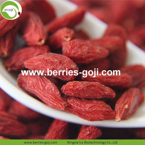 Wholesale Premium Nutrition Eu Standard Goji Berries