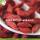 Atacado Premium Nutrition Eu Standard Goji Berries