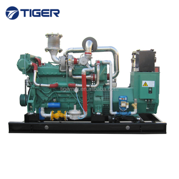 Swine Cow Chicken Manure Biogas Generator Set 200kw for Sale