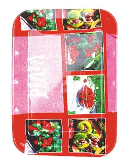 HW9960,PLASTIC PLATE